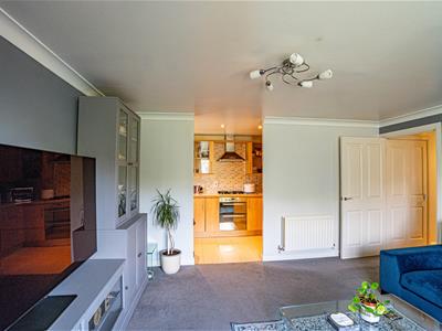 Picture 13